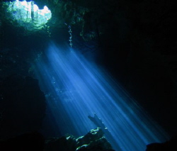 We are PADI Master Divers. Have dove in many cenotes in t... by Darrell Logan 